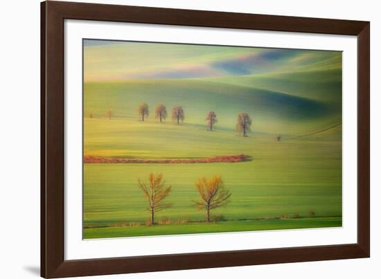 Fields-Krzysztof Browko-Framed Photographic Print