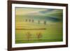 Fields-Krzysztof Browko-Framed Photographic Print