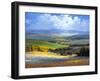 Fields-Athanase Pell-Framed Giclee Print