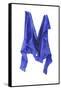 Fierce Blue Shirt, 2003-Miles Thistlethwaite-Framed Stretched Canvas