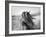 Fierce Grace-Tony Stromberg-Framed Photographic Print