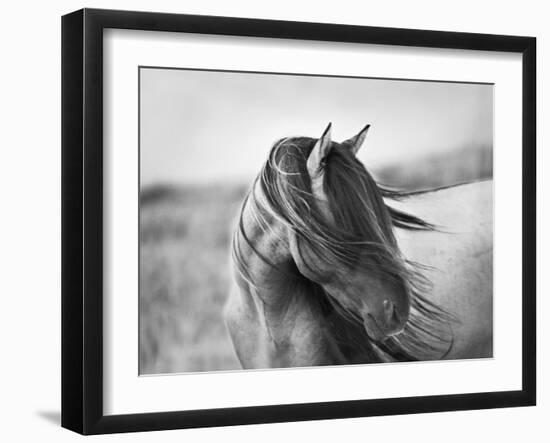 Fierce Grace-Tony Stromberg-Framed Premium Photographic Print