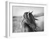 Fierce Grace-Tony Stromberg-Framed Premium Photographic Print