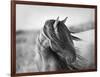 Fierce Grace-Tony Stromberg-Framed Photographic Print