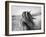 Fierce Grace-Tony Stromberg-Framed Photographic Print