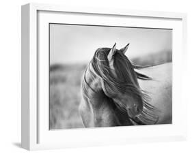 Fierce Grace-Tony Stromberg-Framed Photographic Print