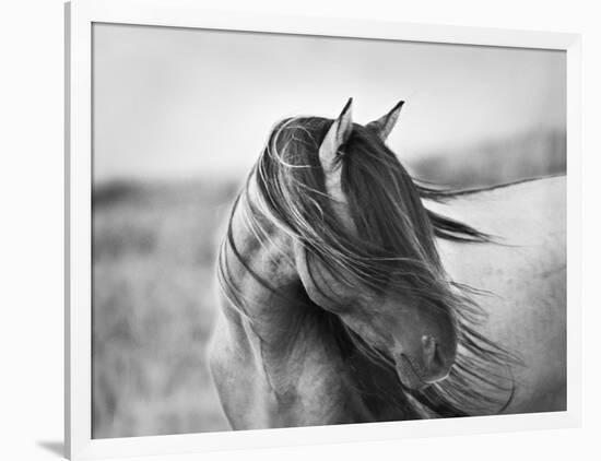 Fierce Grace-Tony Stromberg-Framed Photographic Print