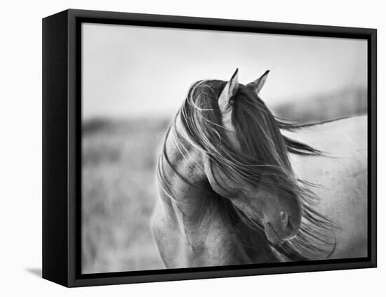 Fierce Grace-Tony Stromberg-Framed Stretched Canvas