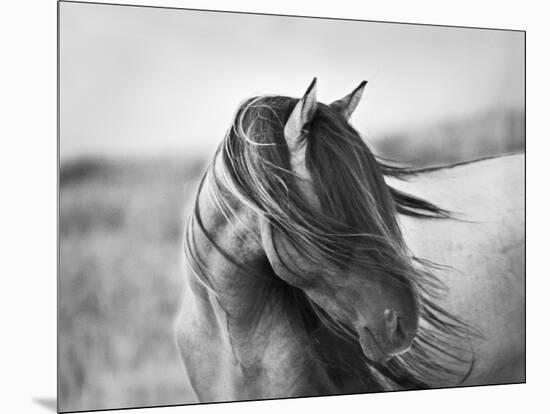 Fierce Grace-Tony Stromberg-Mounted Photographic Print