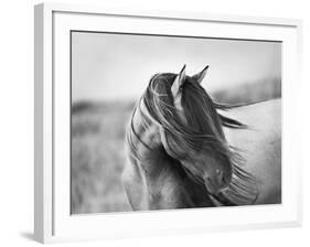 Fierce Grace-Tony Stromberg-Framed Photographic Print