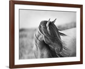 Fierce Grace-Tony Stromberg-Framed Photographic Print