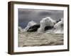 Fierce Lake Superior Waves Pound Minnesota's North Shore-Layne Kennedy-Framed Premium Photographic Print