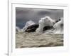 Fierce Lake Superior Waves Pound Minnesota's North Shore-Layne Kennedy-Framed Photographic Print