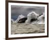 Fierce Lake Superior Waves Pound Minnesota's North Shore-Layne Kennedy-Framed Photographic Print