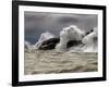 Fierce Lake Superior Waves Pound Minnesota's North Shore-Layne Kennedy-Framed Photographic Print