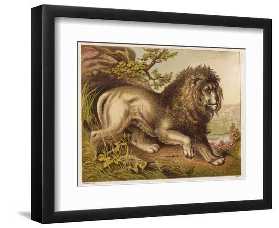 Photographic Print, , large