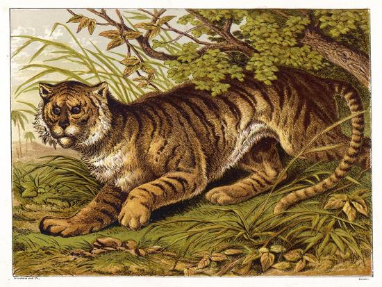 Premium Giclee Print, , large
