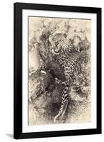 Fierce-null-Framed Giclee Print