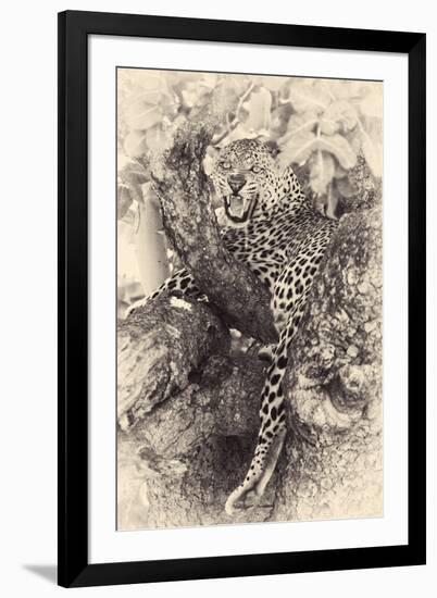 Fierce-null-Framed Giclee Print