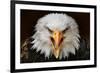 Fierce-null-Framed Art Print