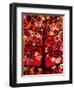 Fiery Blossom Tree-Natasha Wescoat-Framed Giclee Print