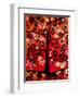 Fiery Blossom Tree-Natasha Wescoat-Framed Giclee Print