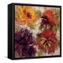 Fiery Dahlias I-null-Framed Stretched Canvas