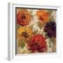 Fiery Dahlias II-null-Framed Art Print