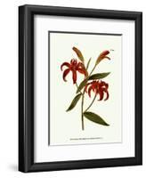 Fiery Florals I-Samuel Curtis-Framed Art Print