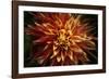 Fiery Flower  2020  (photograph)-Ant Smith-Framed Photographic Print