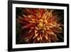 Fiery Flower  2020  (photograph)-Ant Smith-Framed Photographic Print