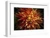 Fiery Flower  2020  (photograph)-Ant Smith-Framed Photographic Print