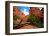 Fiery Furnace-Doug Nelson-Framed Art Print