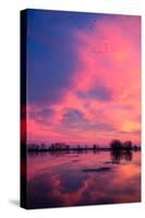 Fiery Marsh Sunset and Reflection, Merced Wildlife Refuge, California-Vincent James-Stretched Canvas