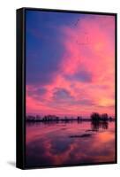 Fiery Marsh Sunset and Reflection, Merced Wildlife Refuge, California-Vincent James-Framed Stretched Canvas