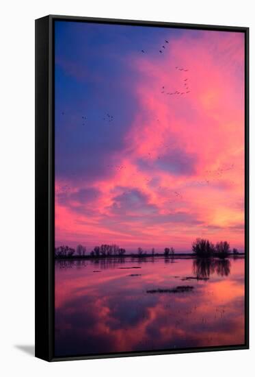 Fiery Marsh Sunset and Reflection, Merced Wildlife Refuge, California-Vincent James-Framed Stretched Canvas