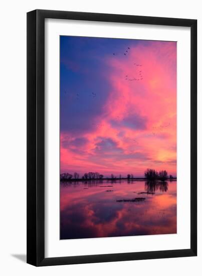 Fiery Marsh Sunset and Reflection, Merced Wildlife Refuge, California-Vincent James-Framed Photographic Print
