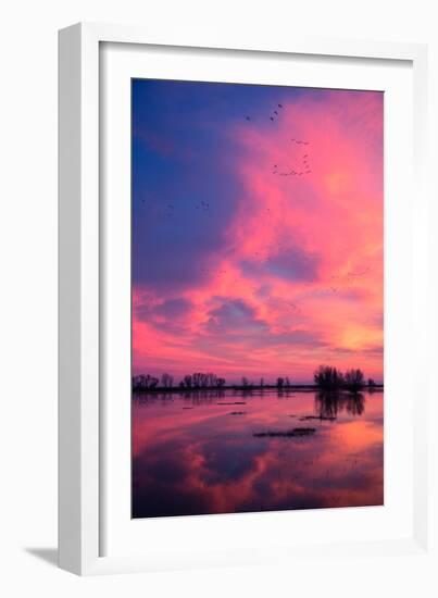 Fiery Marsh Sunset and Reflection, Merced Wildlife Refuge, California-Vincent James-Framed Photographic Print