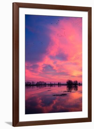 Fiery Marsh Sunset and Reflection, Merced Wildlife Refuge, California-Vincent James-Framed Photographic Print