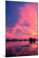 Fiery Marsh Sunset and Reflection, Merced Wildlife Refuge, California-Vincent James-Mounted Photographic Print
