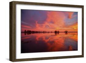 Fiery Marsh Sunset and Reflection-null-Framed Photographic Print