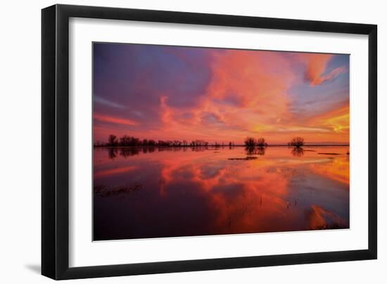 Fiery Marsh Sunset and Reflection-null-Framed Photographic Print