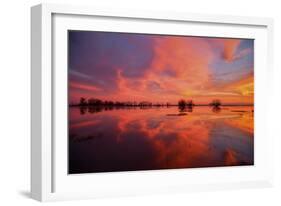 Fiery Marsh Sunset and Reflection-null-Framed Photographic Print