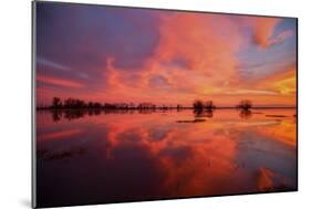 Fiery Marsh Sunset and Reflection-null-Mounted Photographic Print
