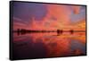Fiery Marsh Sunset and Reflection-null-Framed Stretched Canvas
