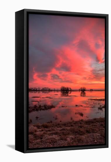 Fiery Marsh Sunset Sky-null-Framed Stretched Canvas