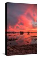 Fiery Marsh Sunset Sky-null-Stretched Canvas