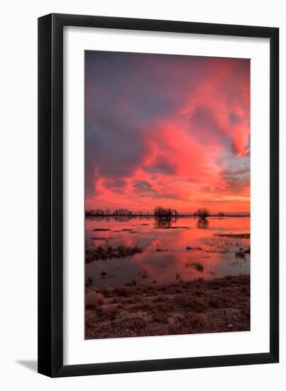 Fiery Marsh Sunset Sky-null-Framed Photographic Print