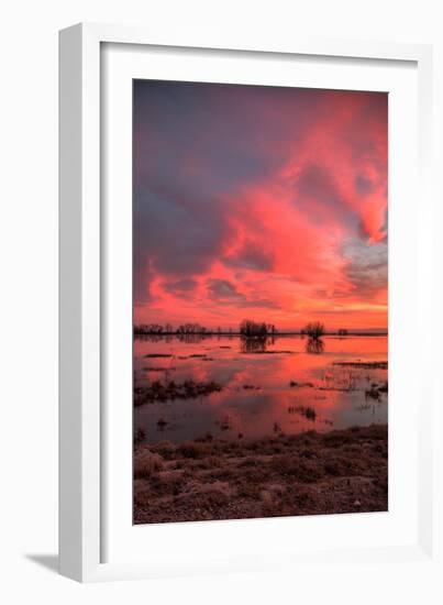 Fiery Marsh Sunset Sky-null-Framed Photographic Print