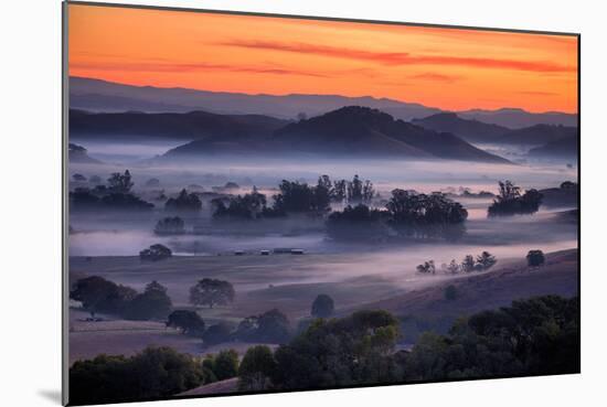 Fiery Sunrise and Mellow Hills of Petaluma, Sonoma County-Vincent James-Mounted Premium Photographic Print